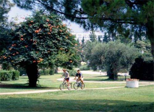 Gerakina Beach 호텔 Chalkidiki 외부 사진